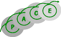 PACE Consultants